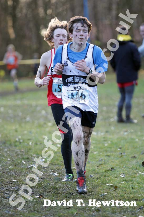 Blue 446, Start First North East Harrier League,  Jarrow.